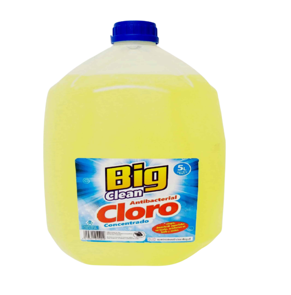 Cloro Big Clean 5 Lts.